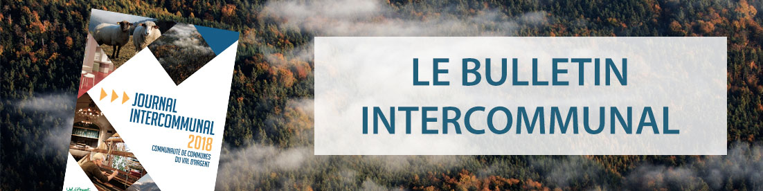 BAN Bulletin intercommunal18